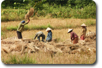 laos trekking