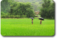 laos trekking