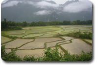 laos trekking