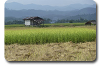 pakse - laos