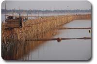 cambodia