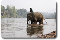 luang prabang - laos